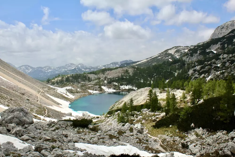 Triglav Pojišťovna